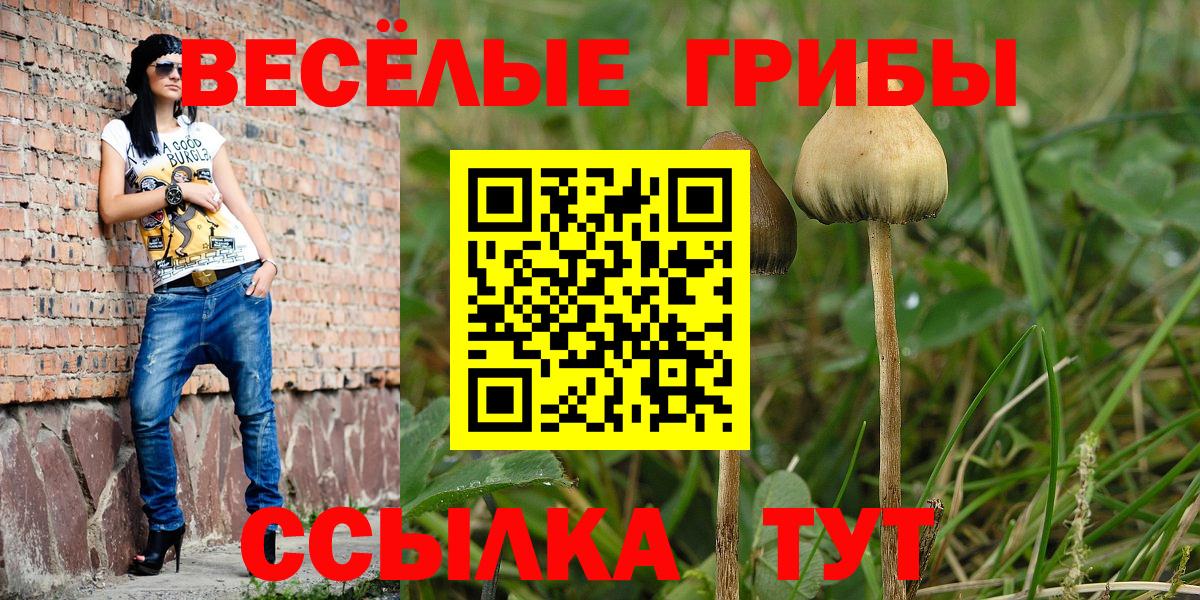 Псилоцибиновые грибы MAGIC MUSHROOMS  Вход с VPN  где купить   Южно-Сахалинск 
