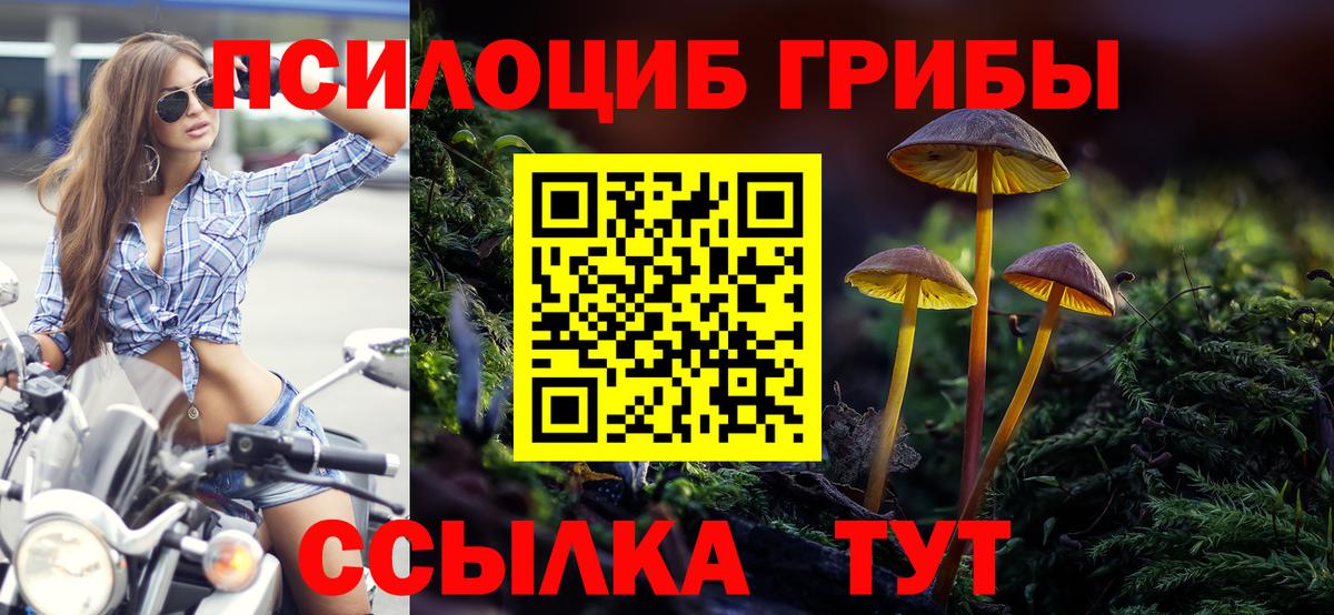 Галлюциногенные грибы Cubensis Южно-Сахалинск